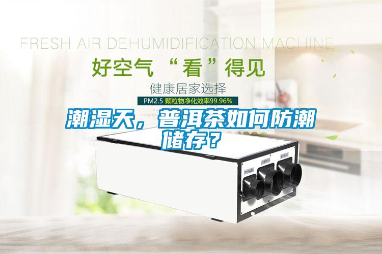 潮濕天，普洱茶如何防潮儲存？