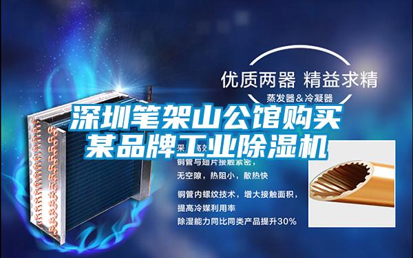 深圳筆架山公館購買某品牌工業除濕機