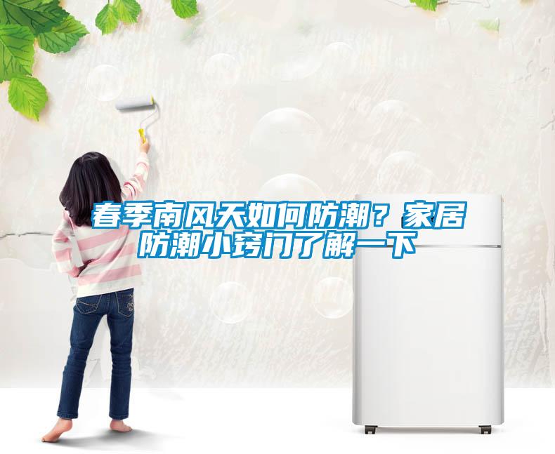 春季南風天如何防潮？家居防潮小竅門了解一下