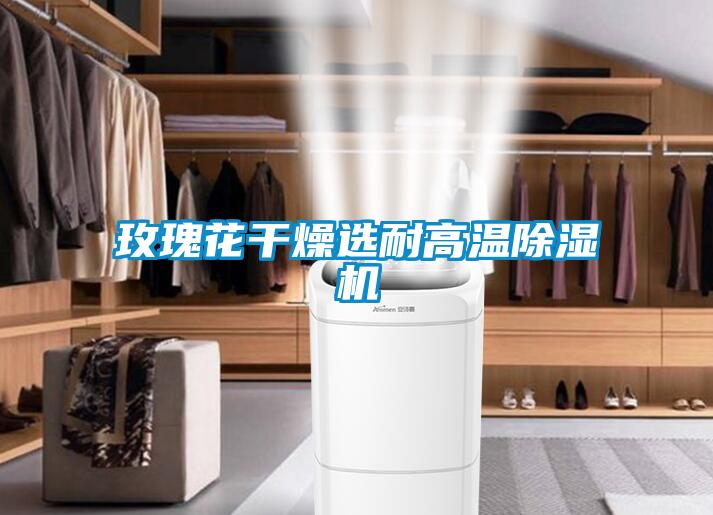 玫瑰花干燥選耐高溫除濕機(jī)