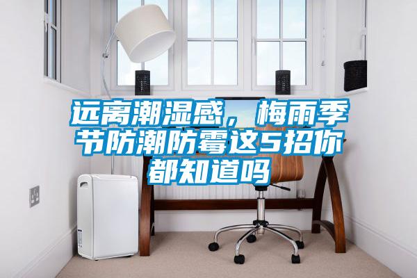 遠(yuǎn)離潮濕感，梅雨季節(jié)防潮防霉這5招你都知道嗎