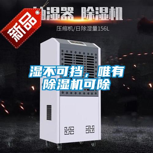 濕不可擋，唯有除濕機可除