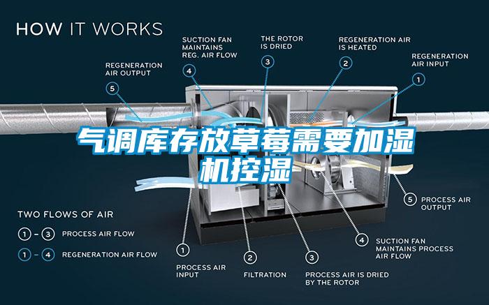 氣調(diào)庫存放草莓需要加濕機控濕