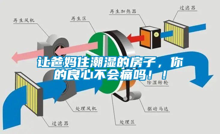 讓爸媽住潮濕的房子，你的良心不會痛嗎?。?/></p>
<p style=