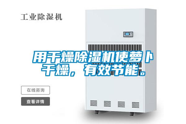 用干燥除濕機使蘿卜干燥，有效節(jié)能。