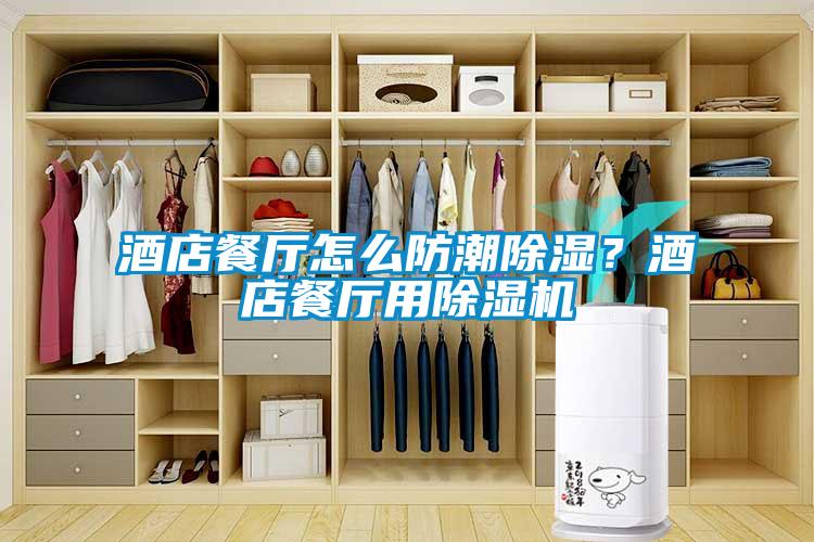 酒店餐廳怎么防潮除濕？酒店餐廳用除濕機