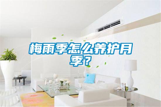 梅雨季怎么養(yǎng)護月季？