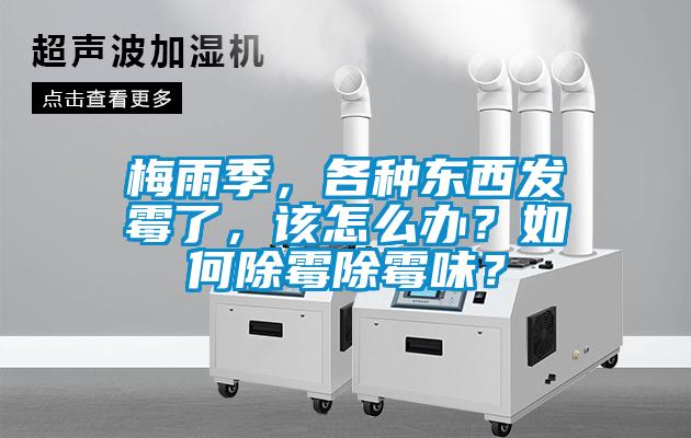 梅雨季，各種東西發(fā)霉了，該怎么辦？如何除霉除霉味？