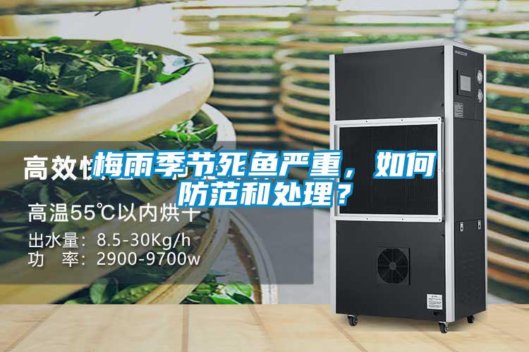 梅雨季節(jié)死魚嚴重，如何防范和處理？