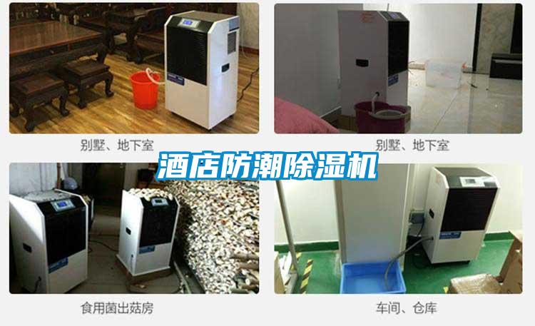 酒店防潮除濕機