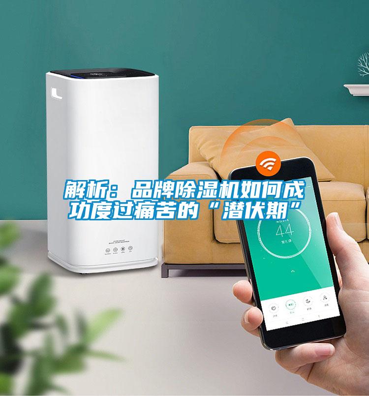 解析：品牌除濕機如何成功度過痛苦的“潛伏期”