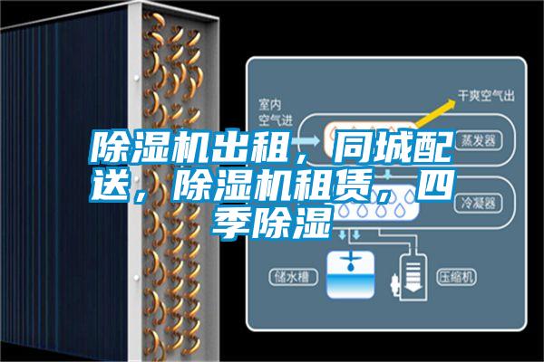除濕機(jī)出租，同城配送，除濕機(jī)租賃，四季除濕