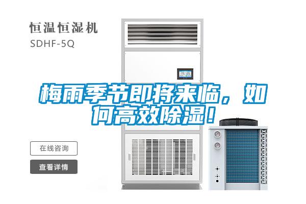 梅雨季節即將來臨，如何高效除濕！