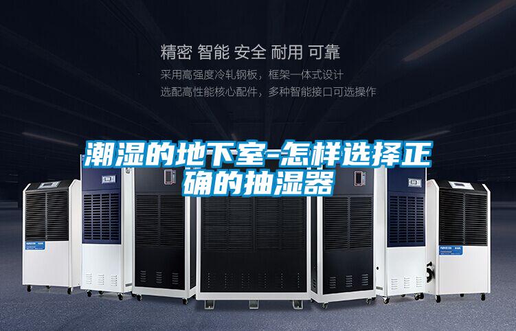潮濕的地下室-怎樣選擇正確的抽濕器