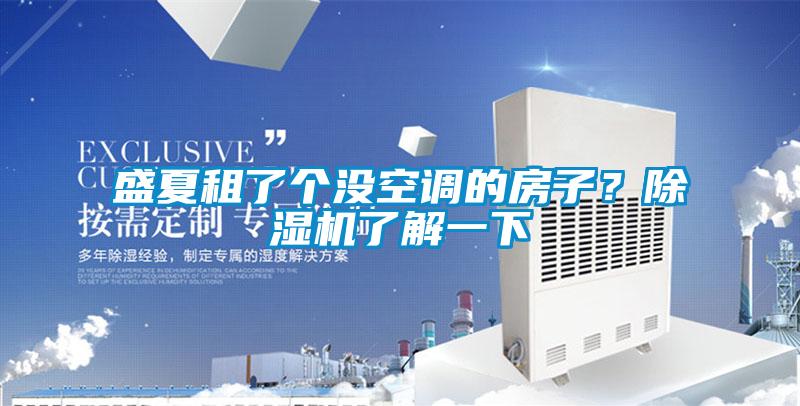 盛夏租了個(gè)沒(méi)空調(diào)的房子？除濕機(jī)了解一下