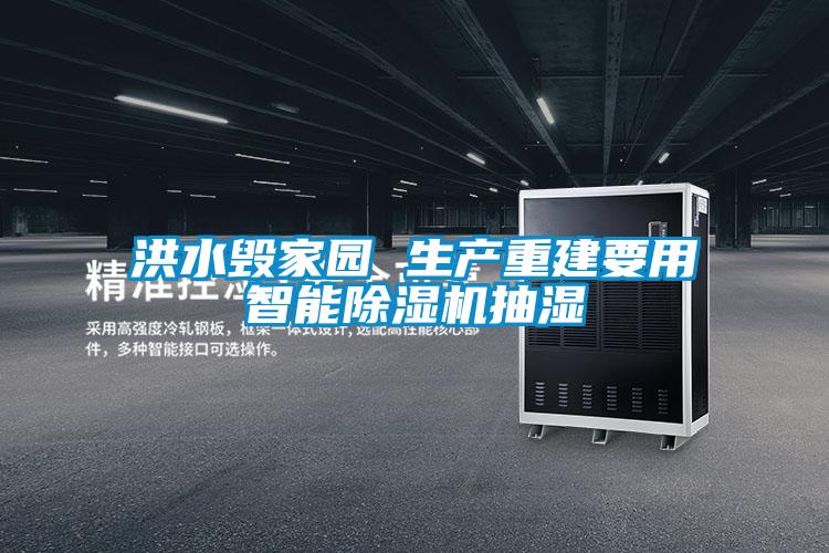 洪水毀家園 生產重建要用智能除濕機抽濕