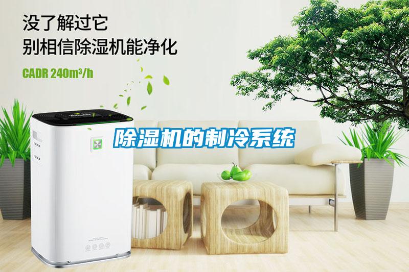 除濕機的制冷系統