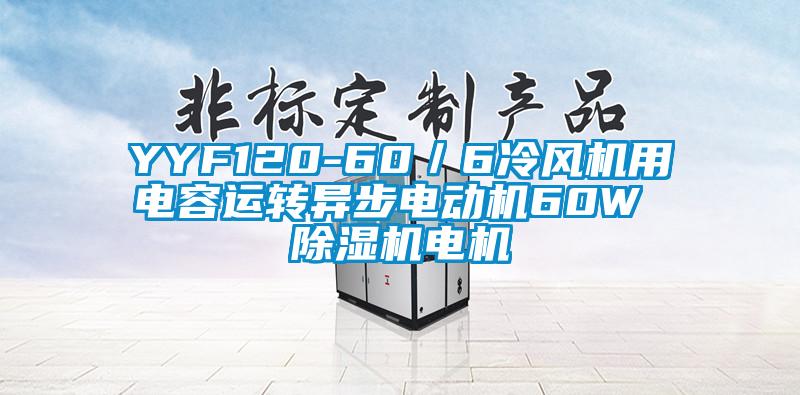 YYF120-60／6冷風(fēng)機(jī)用電容運(yùn)轉(zhuǎn)異步電動(dòng)機(jī)60W 除濕機(jī)電機(jī)