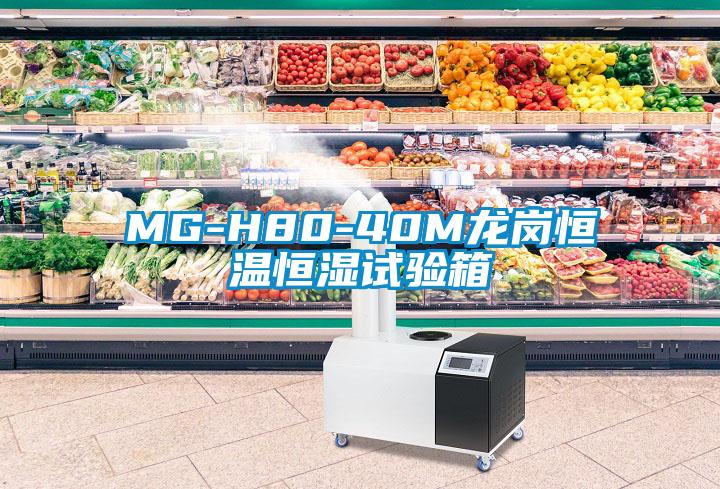 MG-H80-40M龍崗恒溫恒濕試驗箱