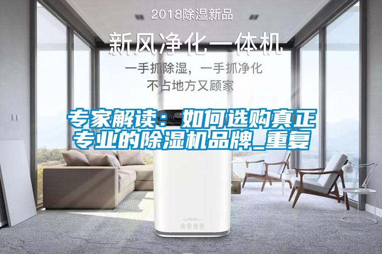 專家解讀：如何選購真正專業的除濕機品牌_重復