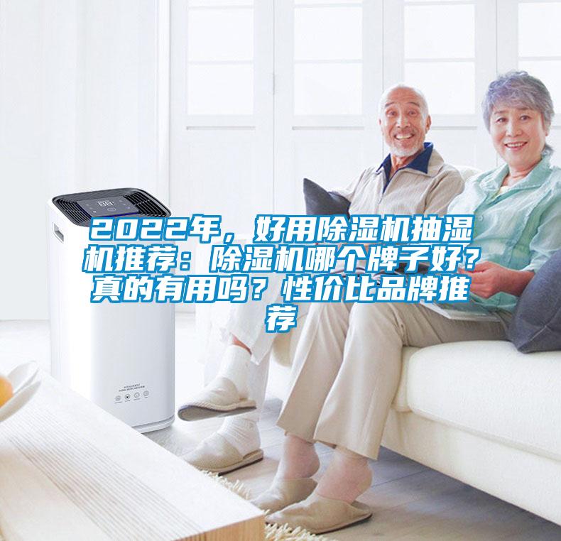 2022年，好用除濕機(jī)抽濕機(jī)推薦：除濕機(jī)哪個(gè)牌子好？真的有用嗎？性價(jià)比品牌推薦