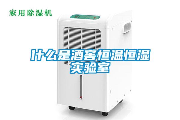 什么是酒窖恒溫恒濕實(shí)驗(yàn)室