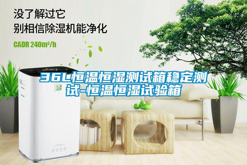 36L恒溫恒濕測試箱穩定測試-恒溫恒濕試驗箱