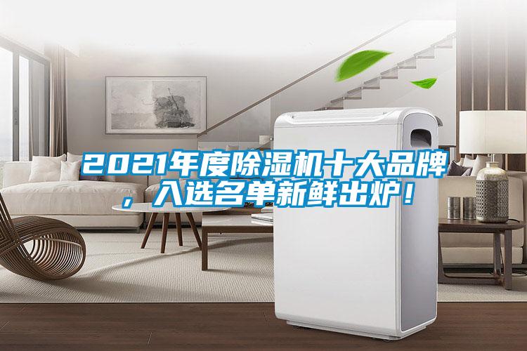 2021年度除濕機十大品牌，入選名單新鮮出爐！