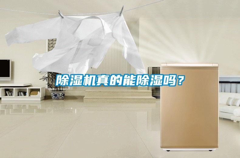 除濕機(jī)真的能除濕嗎？