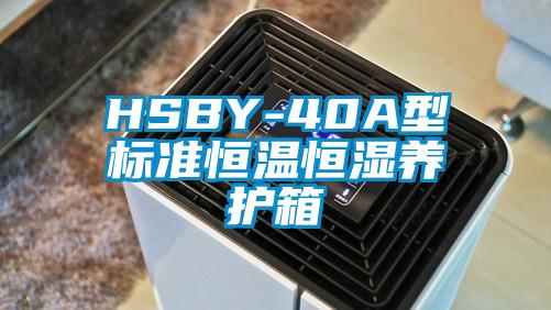 HSBY-40A型標準恒溫恒濕養護箱