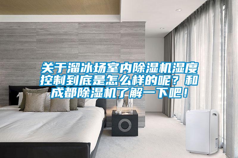 關(guān)于溜冰場室內(nèi)除濕機(jī)濕度控制到底是怎么樣的呢？和成都除濕機(jī)了解一下吧！