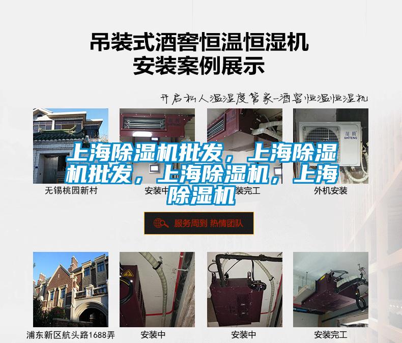 上海除濕機批發(fā)，上海除濕機批發(fā)，上海除濕機，上海除濕機