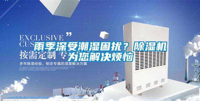 雨季深受潮濕困擾？除濕機為您解決煩惱