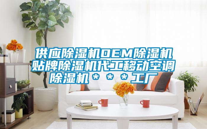 供應(yīng)除濕機(jī)OEM除濕機(jī)貼牌除濕機(jī)代工移動(dòng)空調(diào)除濕機(jī)＊＊＊工廠