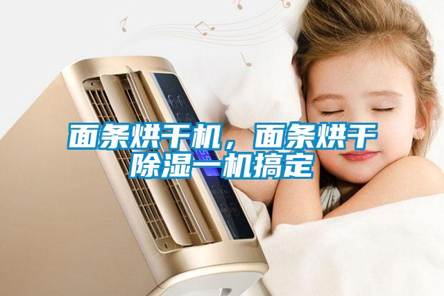 面條烘干機，面條烘干除濕一機搞定