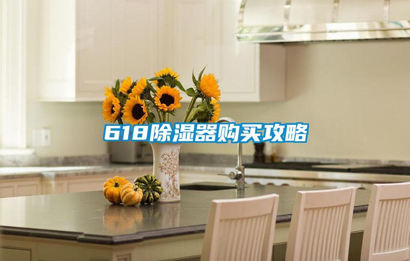 618除濕器購(gòu)買(mǎi)攻略