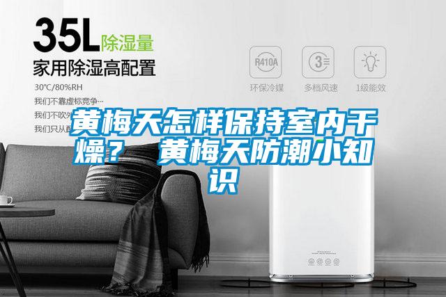 黃梅天怎樣保持室內干燥? 黃梅天防潮小知識