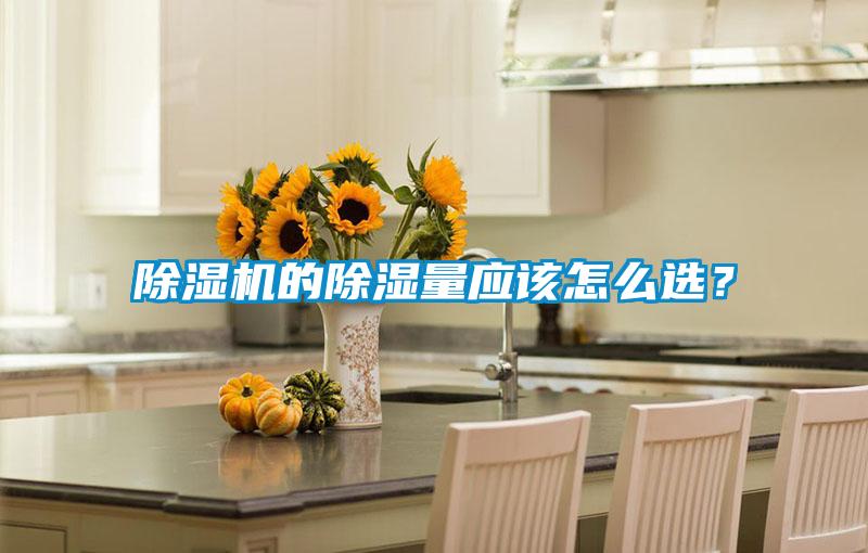 除濕機的除濕量應該怎么選？