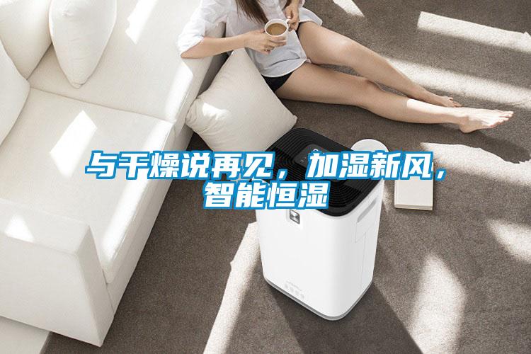 與干燥說再見，加濕新風，智能恒濕