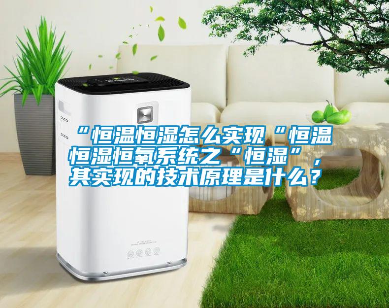 “恒溫恒濕怎么實現“恒溫恒濕恒氧系統之“恒濕”，其實現的技術原理是什么？