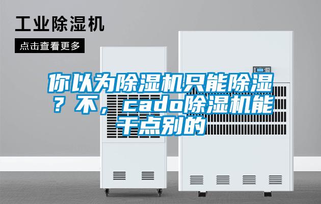 你以為除濕機只能除濕？不，cado除濕機能干點別的