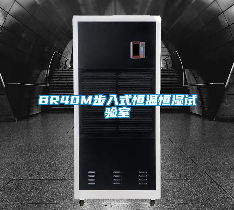 BR40M步入式恒溫恒濕試驗(yàn)室