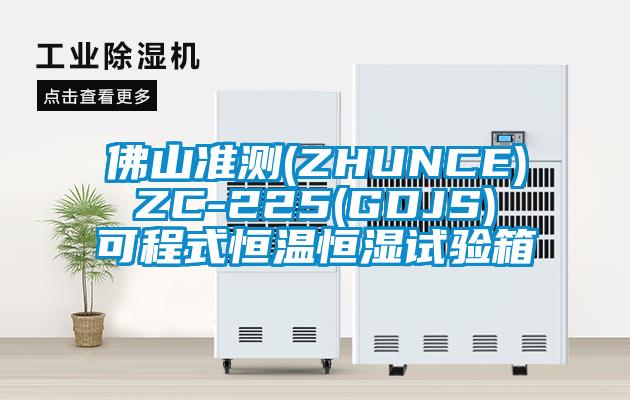 佛山準(zhǔn)測(cè)(ZHUNCE) ZC-225(GDJS) 可程式恒溫恒濕試驗(yàn)箱