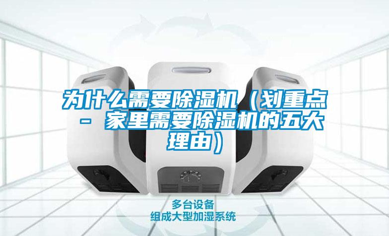 為什么需要除濕機（劃重點 - 家里需要除濕機的五大理由）