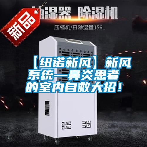 【紐諾新風】新風系統—鼻炎患者的室內自救大招！