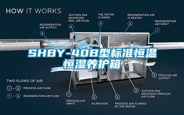 SHBY-40B型標準恒溫恒濕養護箱
