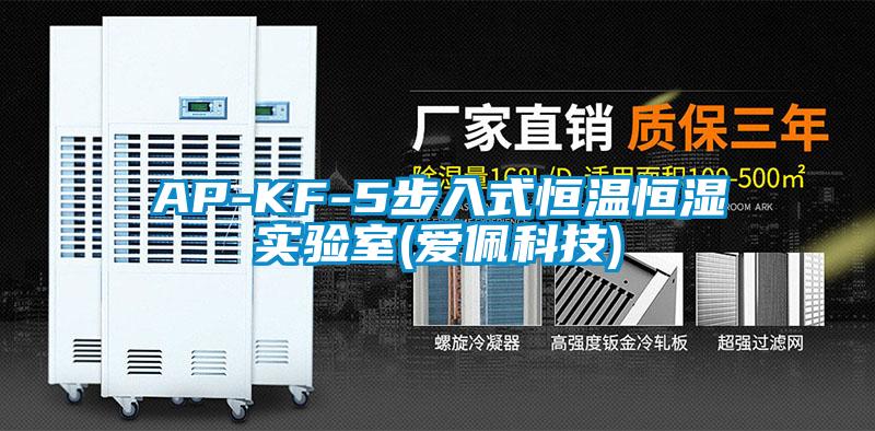 AP-KF-5步入式恒溫恒濕實驗室(愛佩科技)