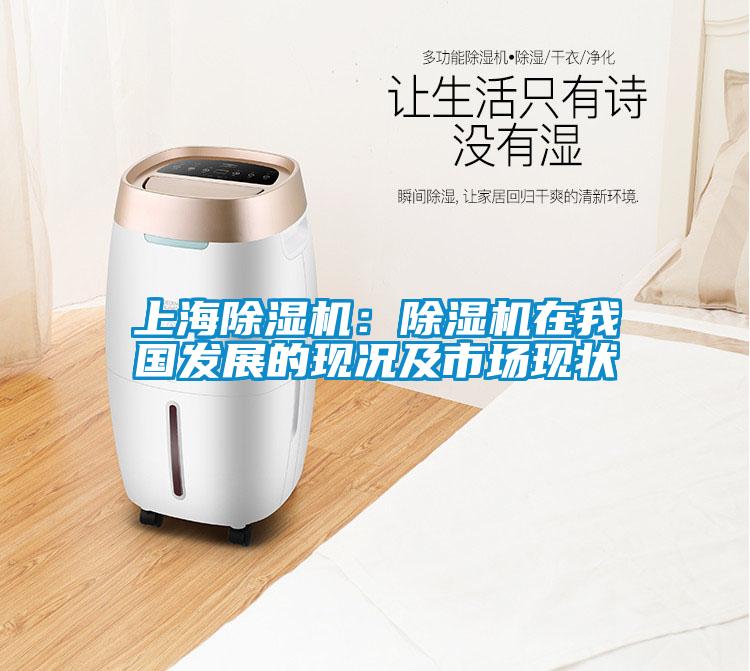 上海除濕機：除濕機在我國發展的現況及市場現狀
