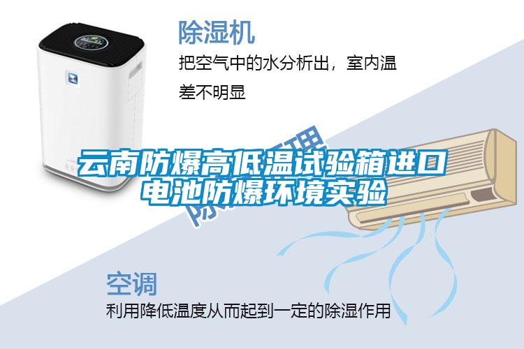云南防爆高低溫試驗箱進口電池防爆環境實驗