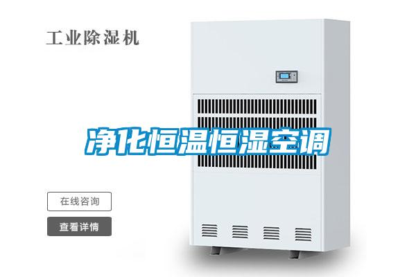凈化恒溫恒濕空調